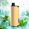Alibarbar Ingot - Miami Mint 9000 Puffs 2 Alibarbar Ingot Miami Mint