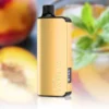 Alibarbar Ingot - Peach Ice 9000 Puffs 2 Alibarbar Ingot Peach Ice
