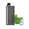 Swix Black miami mint